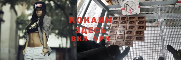 амф Абаза