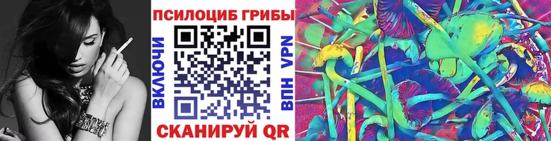 Псилоцибиновые грибы мицелий  наркотики  Екатеринбург 